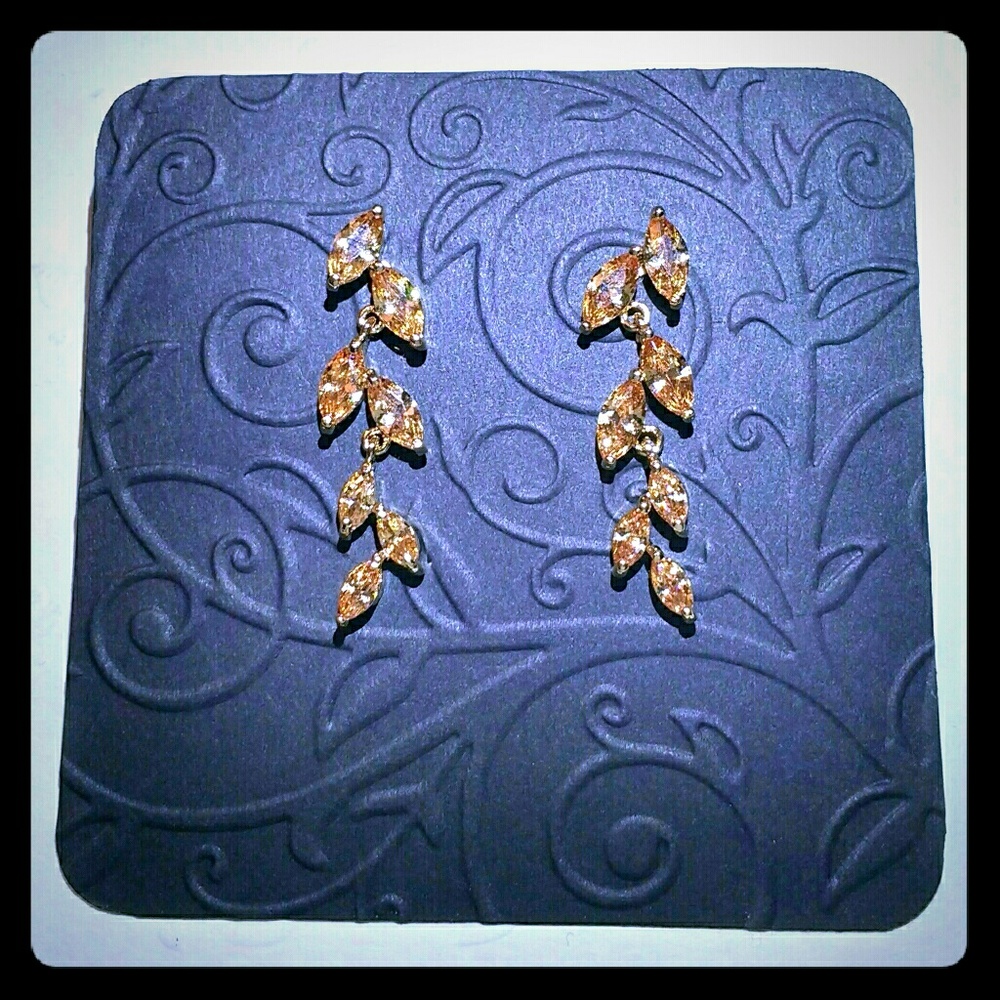 Beautiful Orange Stone Earrings - Picture 1 of 4
